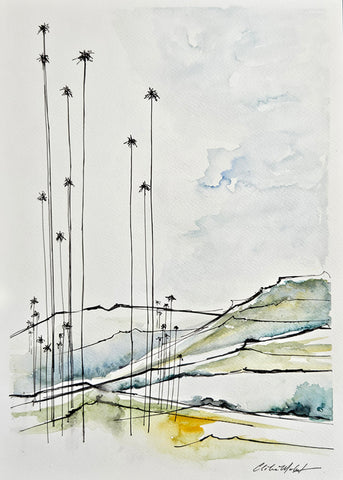 Palmeira de Cera, Valle del Cocora, Colômbia