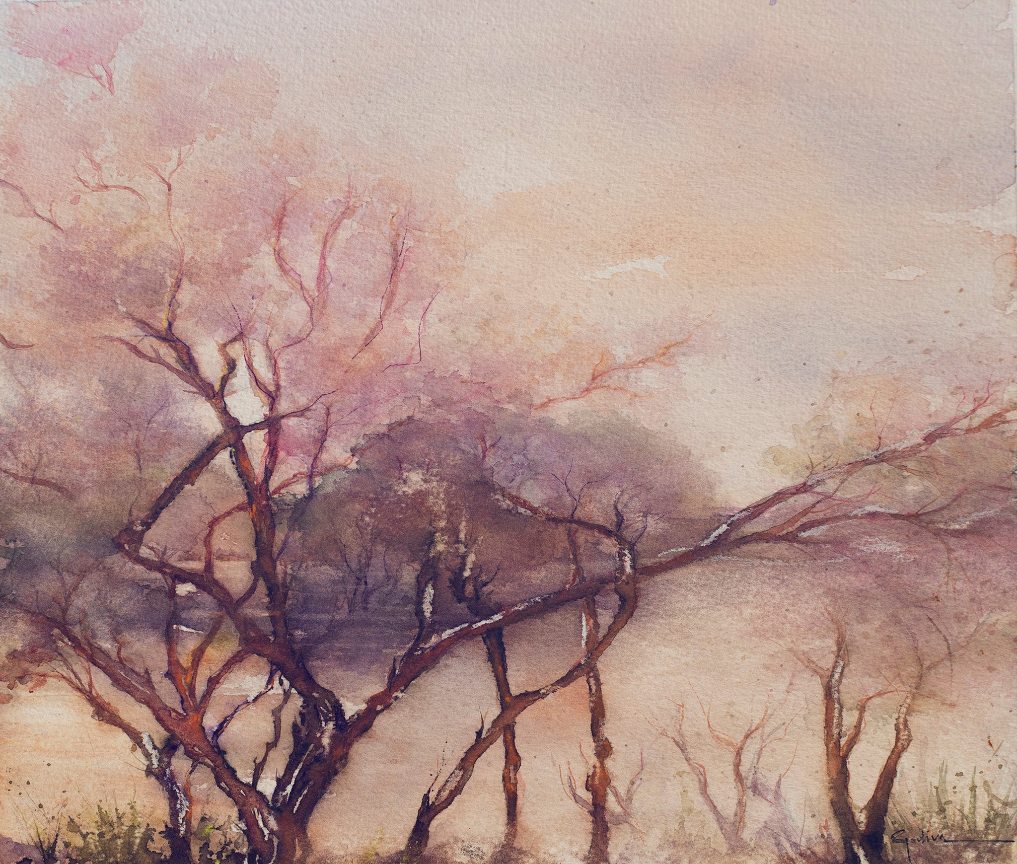 Outono no Rio Paraíba do Sul