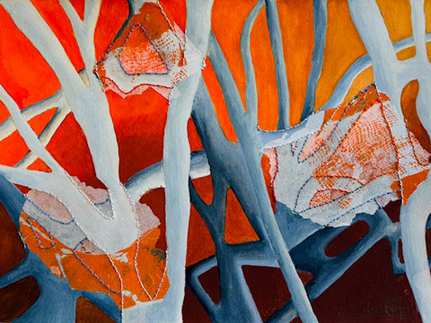 Raízes Flutuantes Pantanal